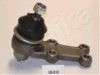 ASHIKA 53-05-510 Ball Joint